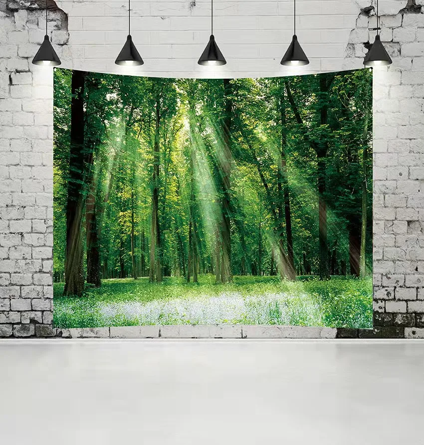 Home Decor Printing Wall Hanging Tapestries Modern Customized Logo Cotton 3D Print Low MOQ Tapestry