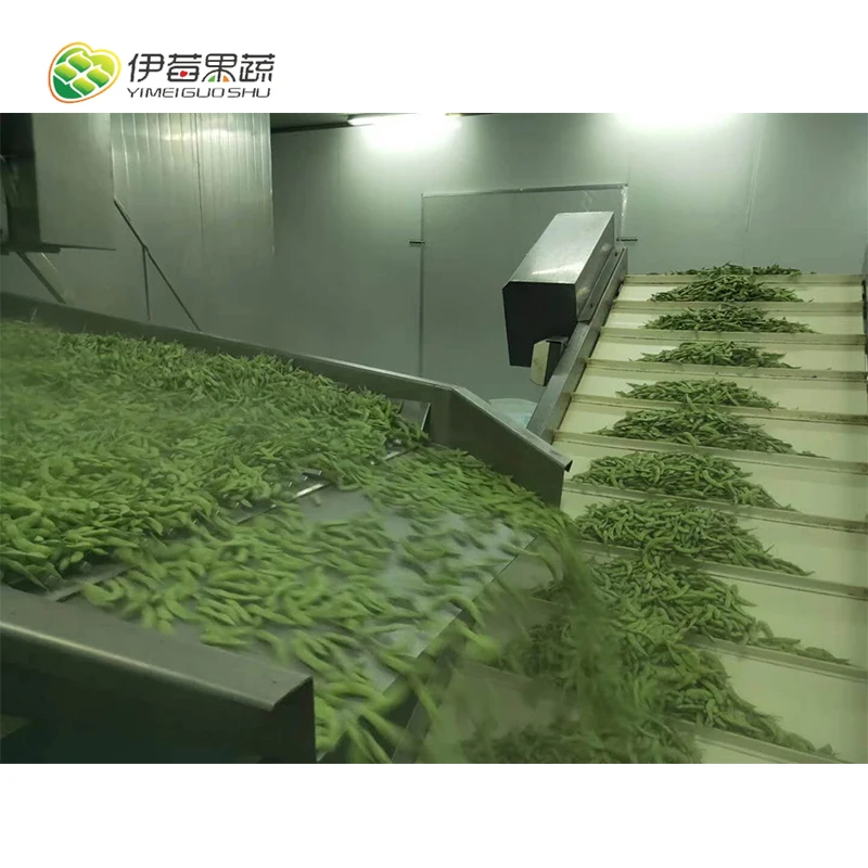 New crop cooked soybeans in freeze