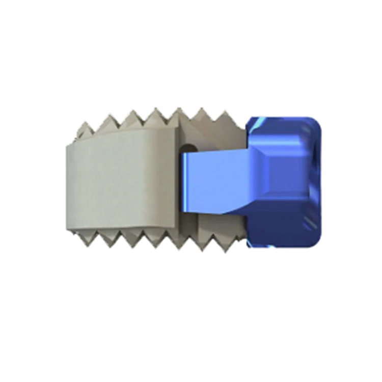 
Anterior Cervical Interbody Fusion Cage titanium plate trauma orthopedic implants 