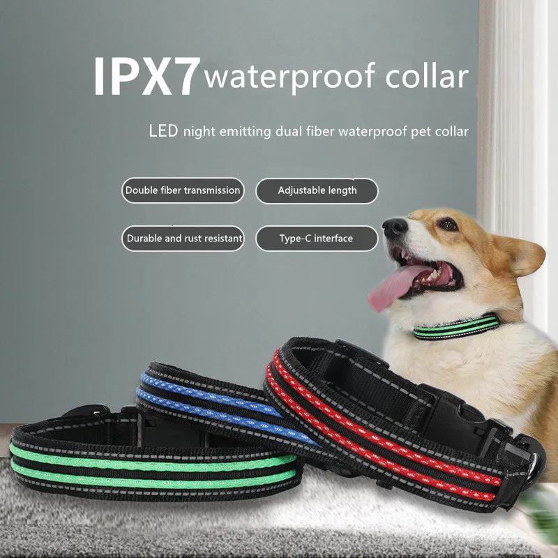 Cat Nylon LED Pet Dog Collar Night Safety Flashing Glow In The Dark Dog Leash Dogs Luminous Fluorescent Collars Pet Supplies