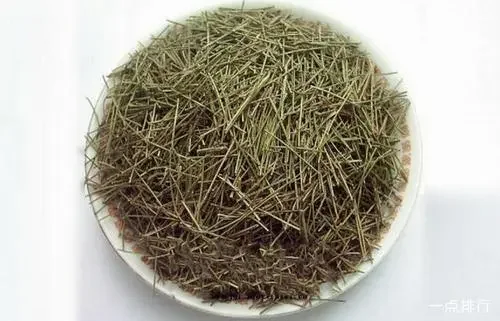 High Quality Herb Tea Flavor Tea 100% Natural Pine Needle Herbal Tea For Sub-health Status