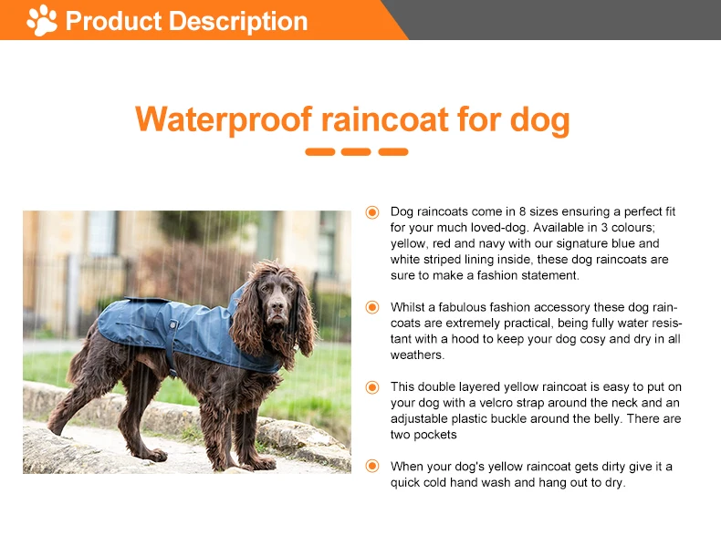 4 Dog Raincoats.jpg