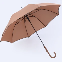 Korea umbrella Fashionable auto open umbrella fancy handle for ladies