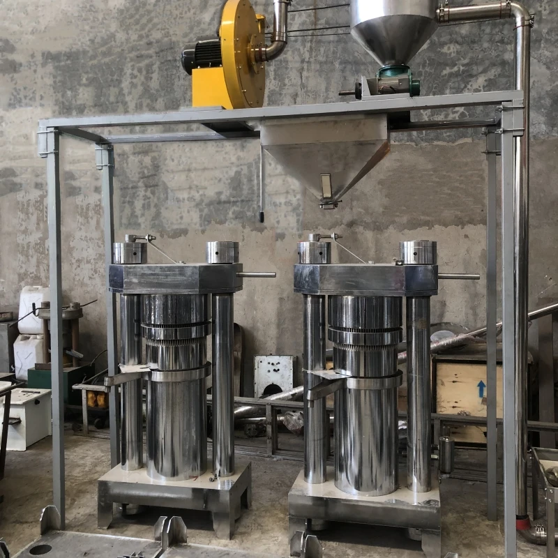 Oil Mill Press Machine Amaranth Seed Oil Press Machine Castor Oil Filter Press  Attractive Design New Type