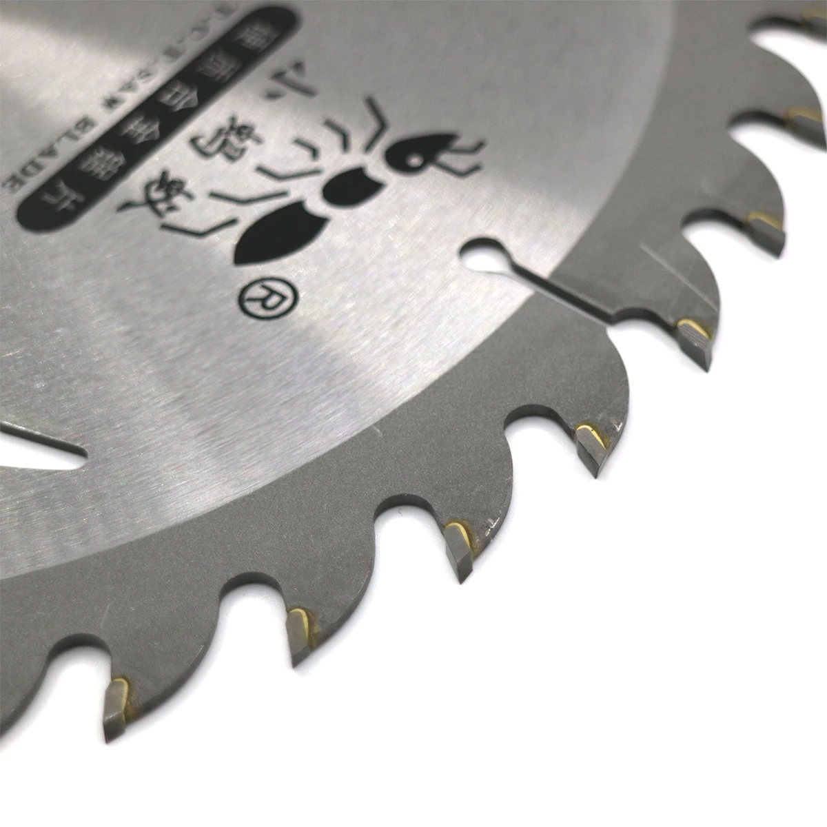 Cutting Saw Carbide Planer with Roll Welding TCT Blade High Quality Tips Wood Circle Alloy OEM ODM