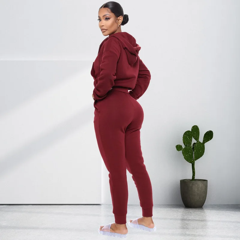 Winter clothes for women two piece set hooded jacket women athletic wear sets jogging sweater two piece sport set women clothing