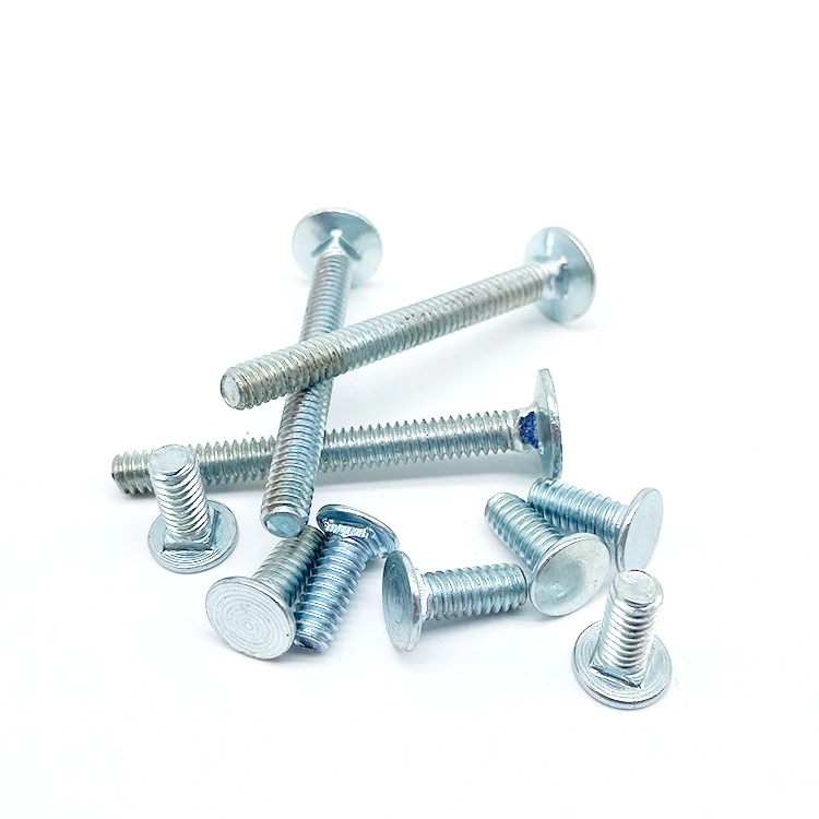 M12 x 120 SS Coach Bolts Flat Head Carriage Bolt with Square Neck