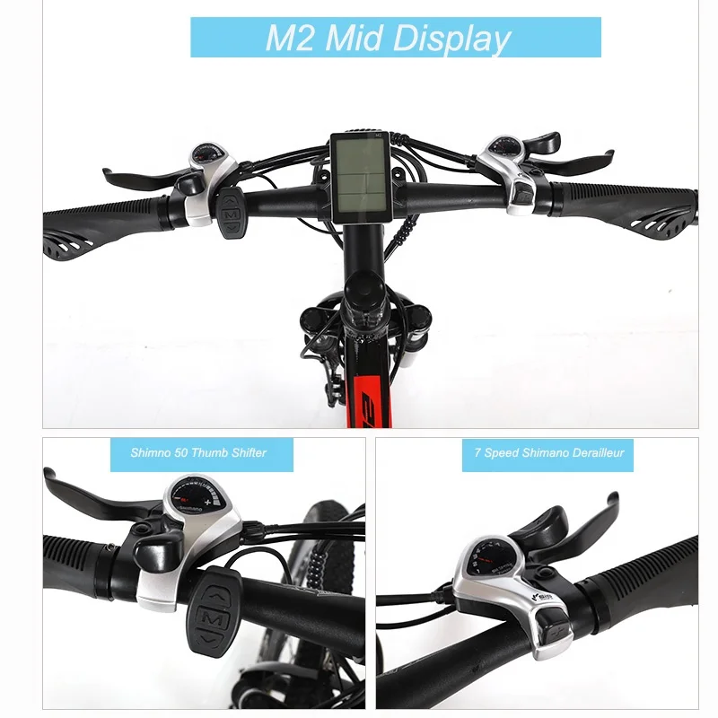  2021 New Style Ebike High Performance Electric Bicycle 36V 250W Motor Mountain