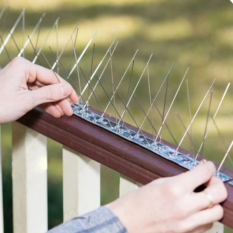 2024 Wholesale of direct sales hot sale pest control bird trap stainless steel thorn metal anti perching bird spikes for birds