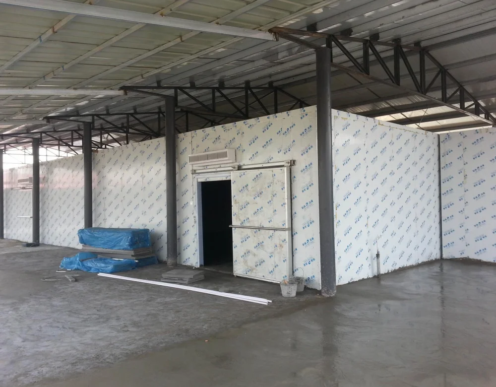 Glass door walk in cooler fridge room, ultra freezer chillers, freezer room cold room for meat