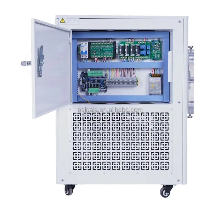 Fresh Fruit Mango Durian Freeze Drying Dried Machines