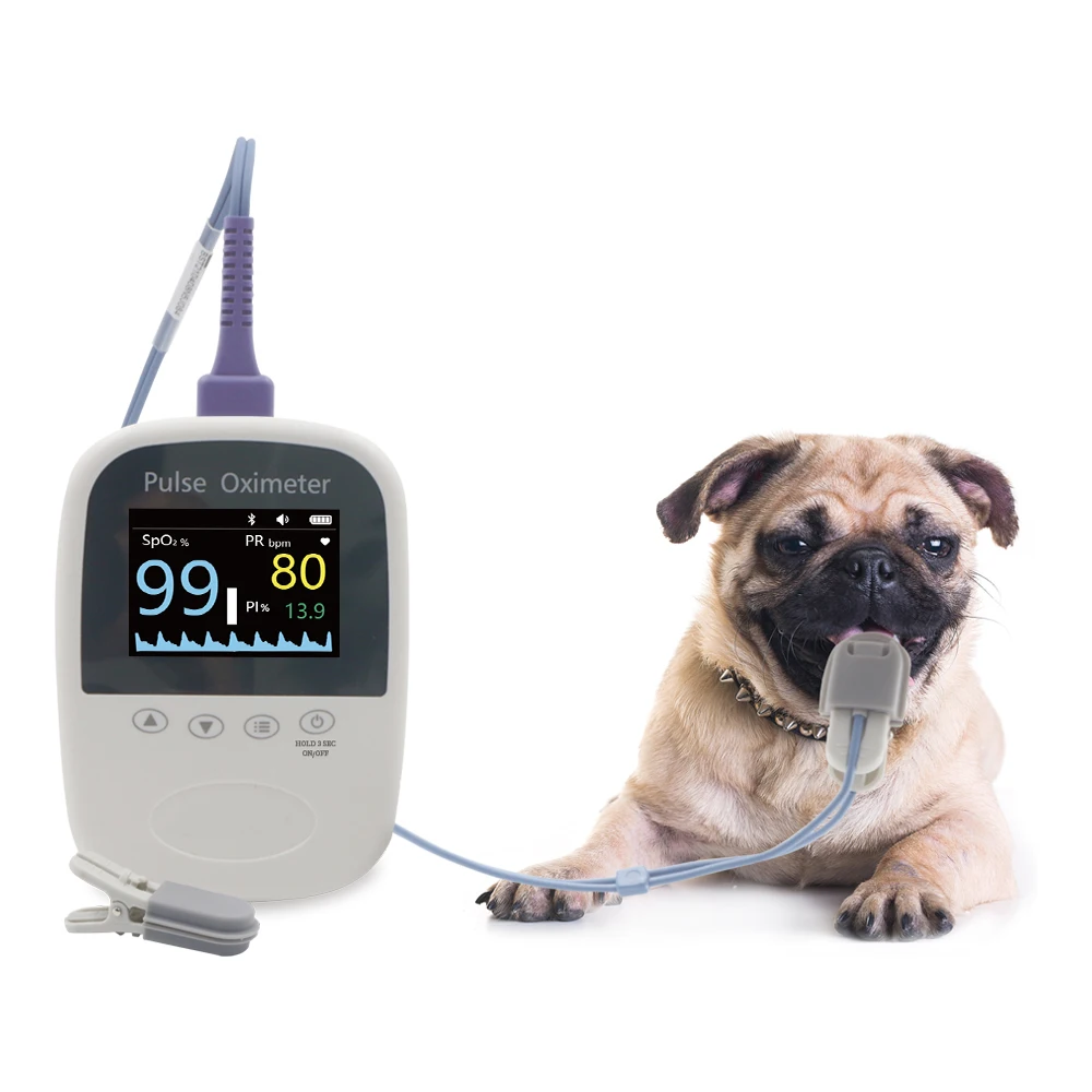 BM1000A-I BERRY Vet Medical Bluetooth Free App Pulse Oximeter Veterinary Accurate and cheap pet medical equipment