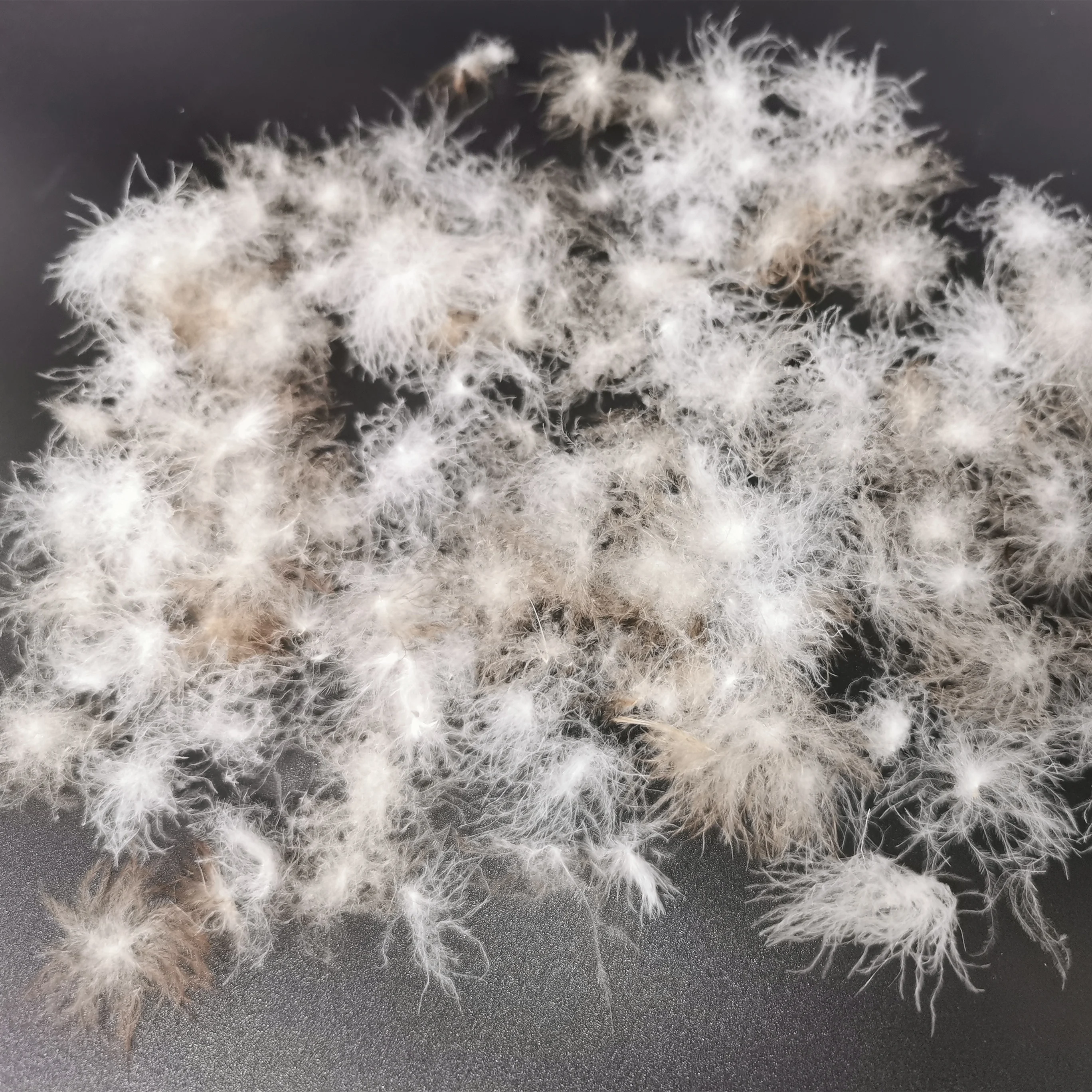 Распродажа 95%, мытый серый мусковый материал, одежда, пуховое перо