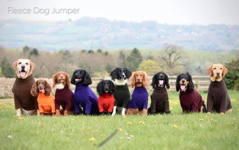 03 fleece dog jumper.jpg