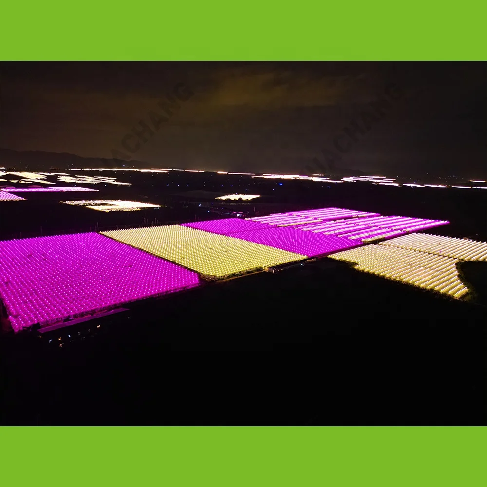 Tomato growth lamp 12W 15W LED bulb Full spectrum - pink light Promote plant growth Improve the survival rate of seedlings