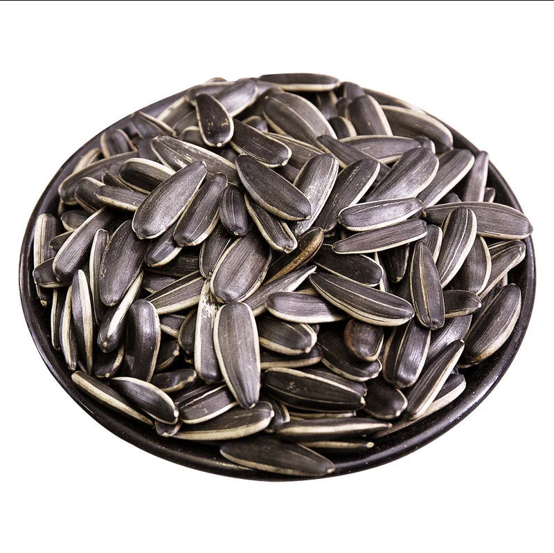 sunflower seeds 363 inner mongolia factory chinese 2022 NEW CROP