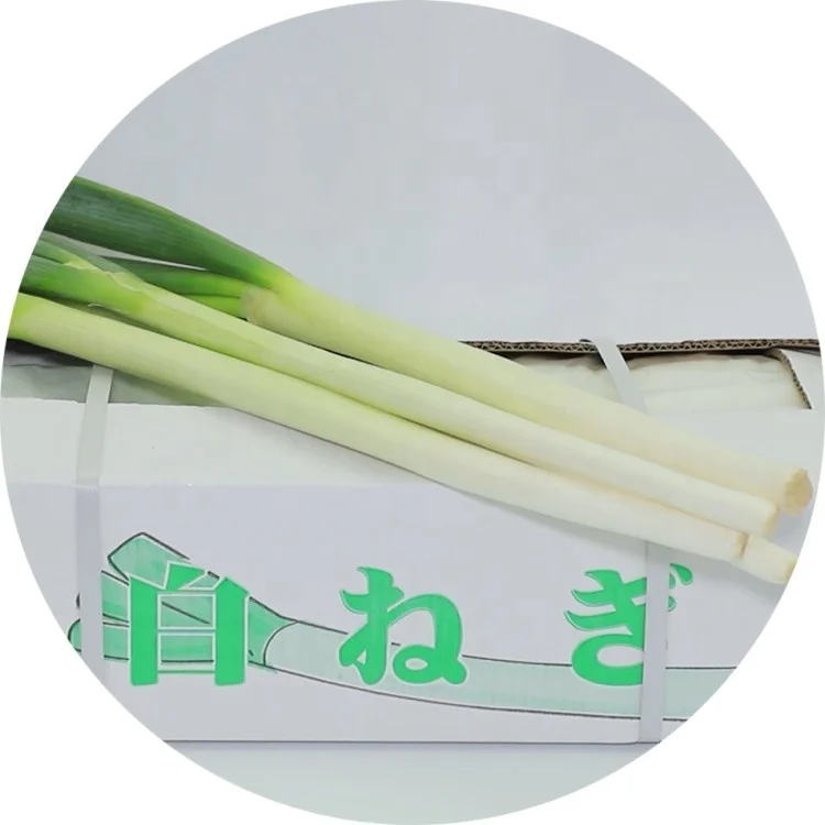 Оптовая продажа, гигантский зеленый китайский лук, свежий шальлот, картонная коробка, экспорт в Японию, Корею, Сингапур
