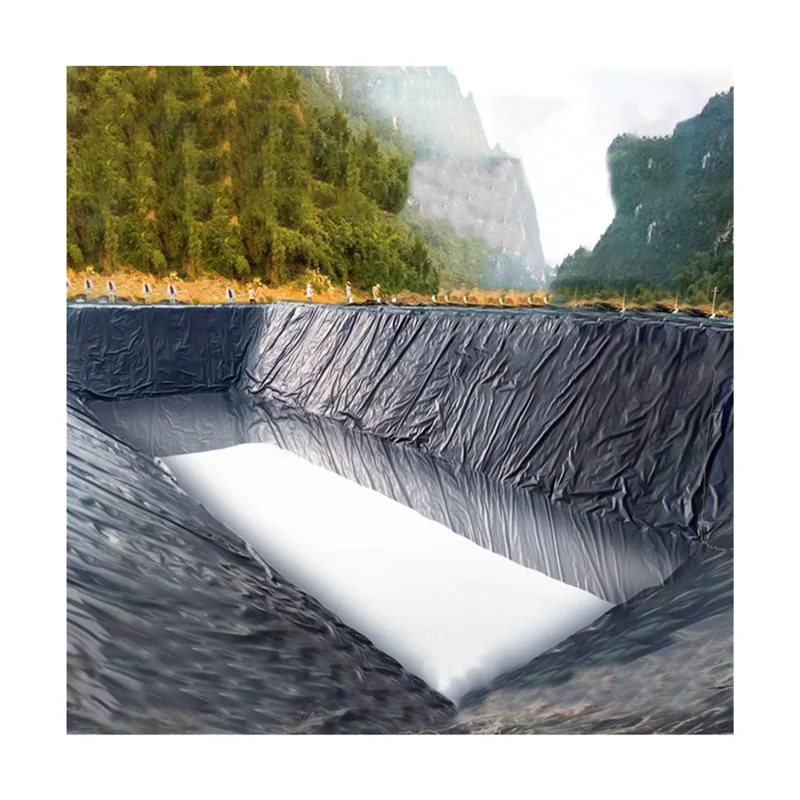 Геомембрана 1 мм Hdpe для пруда черный лист геомембраны водонепроницаемая мембрана аквариума плотины водохранилища поставщики