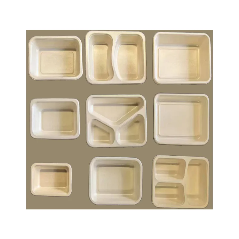 Sealable Meal Box Disposable Biodegradable Sugarcane Bagasse Food fruit sushi Pulp Tray Packaging With Coating Lamination Film