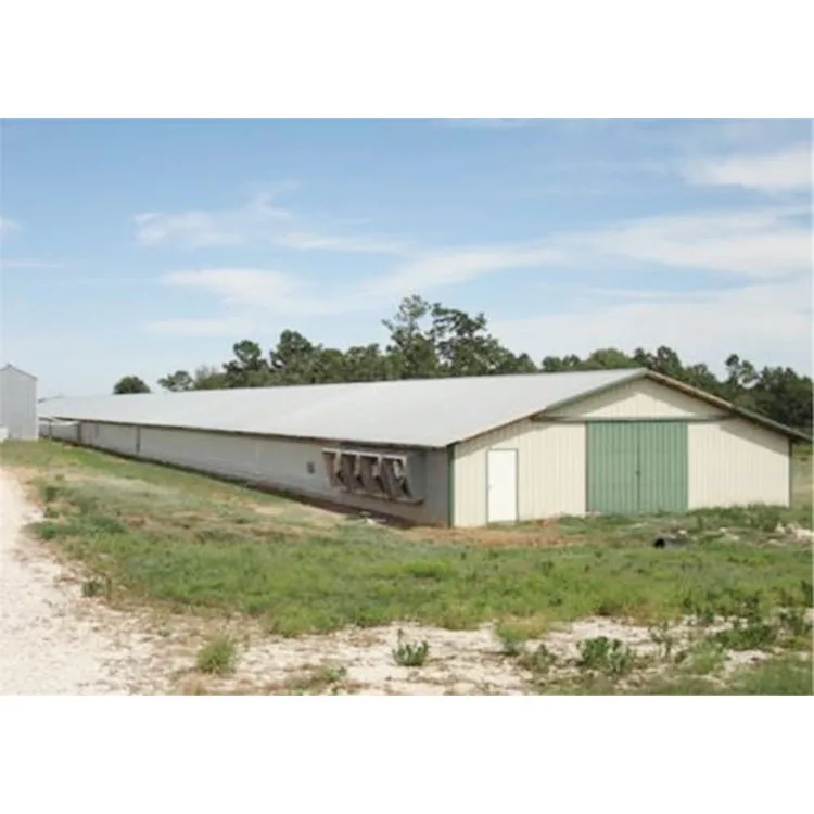 Low cost broiler chicken goat farm shed manufacturer steel structure