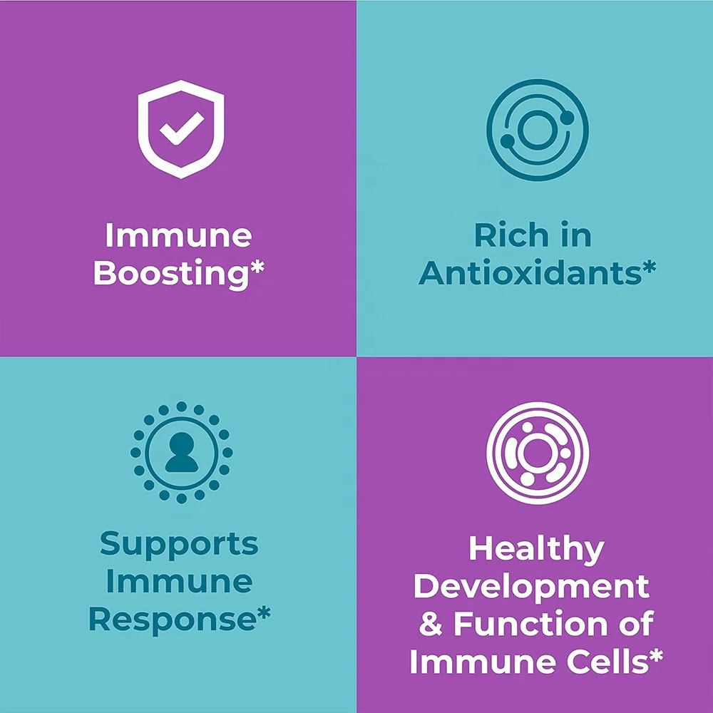 Naturals Organic Elderberry Plus Gummies, Organic Black Elderberry with ZINC and Vitamin C, Immune Support Supplement