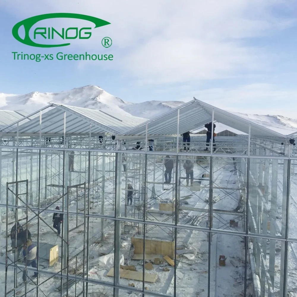Glass tomato hydroponic greenhouses farming equipment
