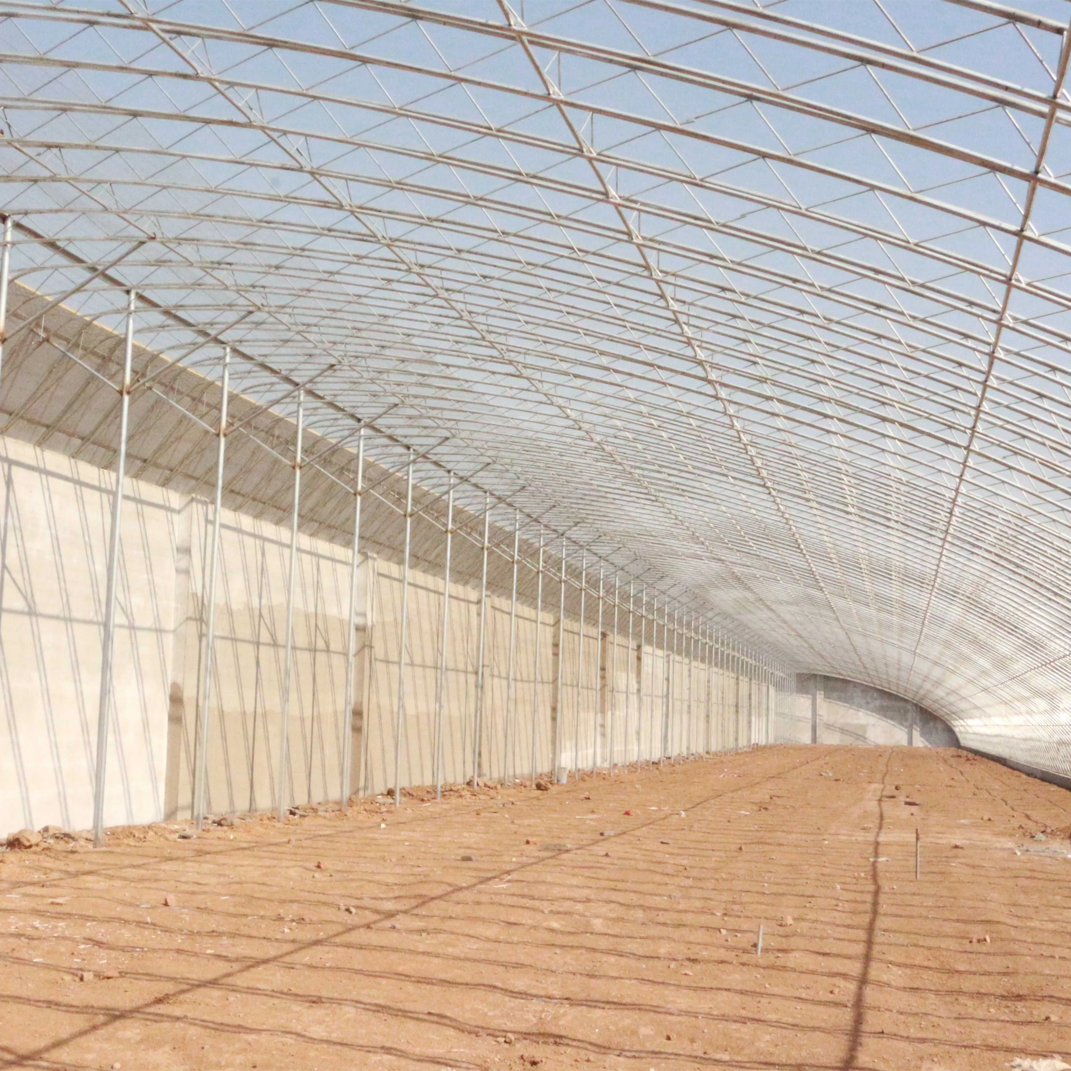 Brick Wall Solar Greenhouse with W Arch Beam for Vegetables/Flowers/Strawberry/Hydroponics Growing