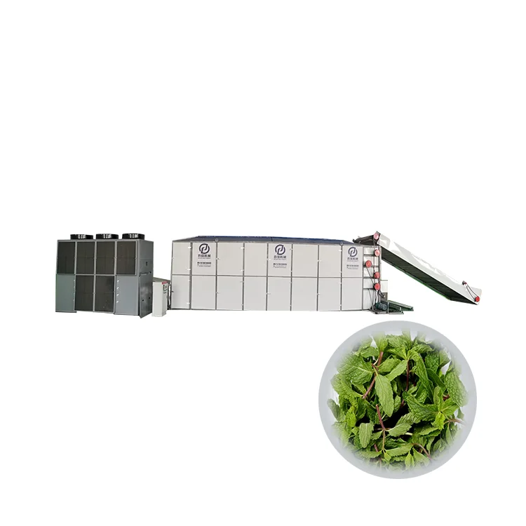 Сушильное Оборудование Moringa Radix paeoniae alba сушильная машина для перца сетчатый