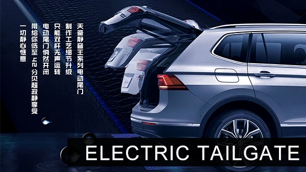 Automatic Truck Lift Electric Gate for Odyssey