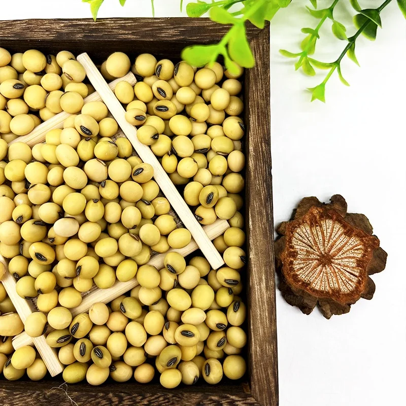 Высококачественные соевые бобы сырые зерна в пакетах органические насыпные семена для еды