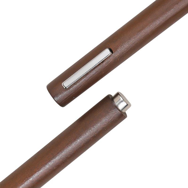 BIN wholesale price 3D 2 in 1 cat-eye gel polish Magnet Nail Powder Magic Magnet