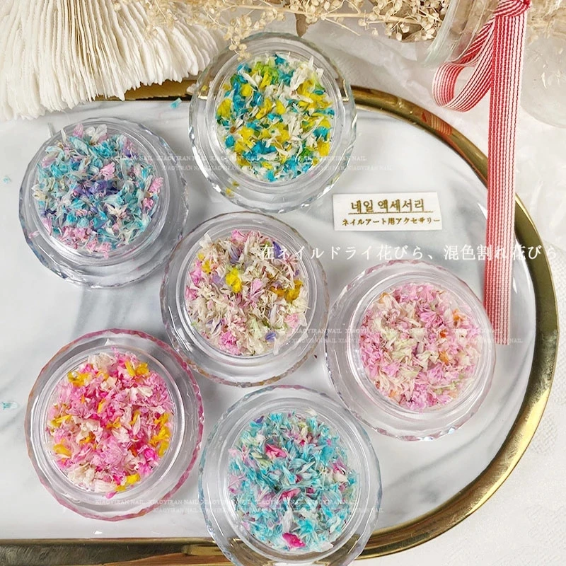 Fashion Dried Flowers for Resin Craft Nail Art Mix Small Mini Dry Flowers Press on Nail Charms Summer Nail Accessories