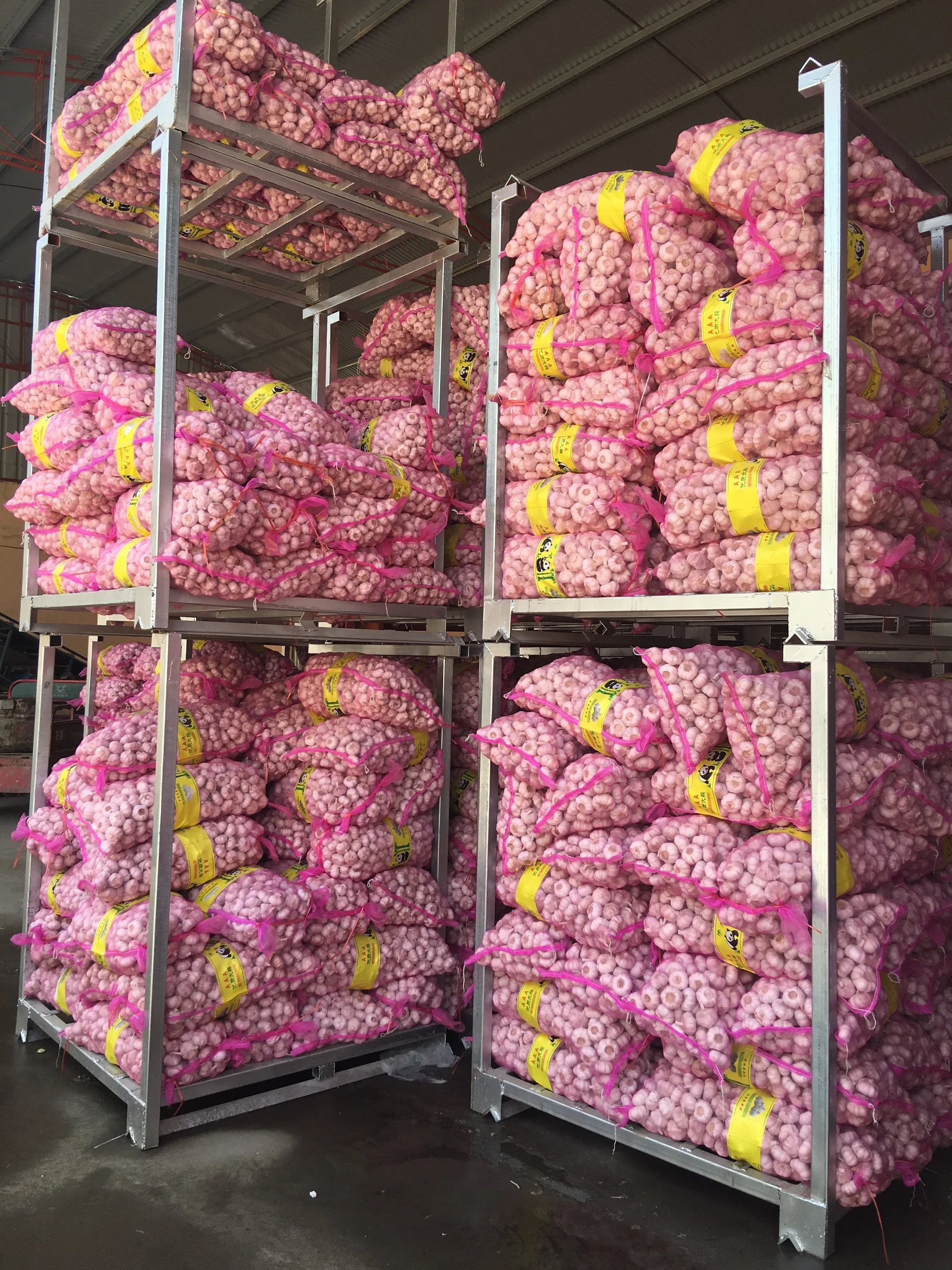 Fresh red garlic chinese 3.0-3.5cm  for Congo market 1kg mesh bag with 10kg outter bag