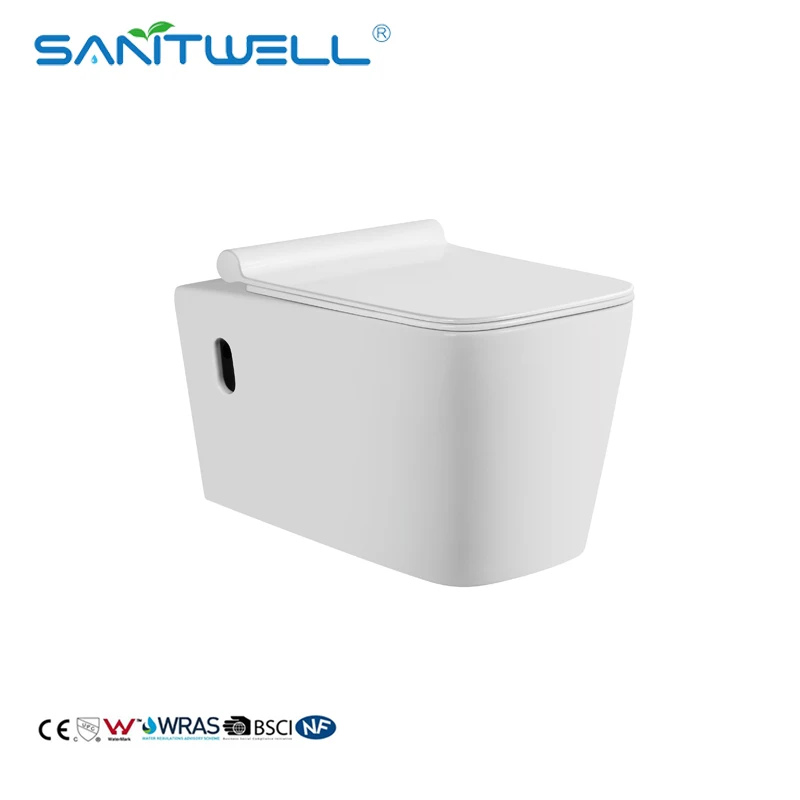 Sanitary Ware Toilet With Hole in Side White Ceramic P-trap Comfort Cistern Dual Flush Tankless Toilet For Sale