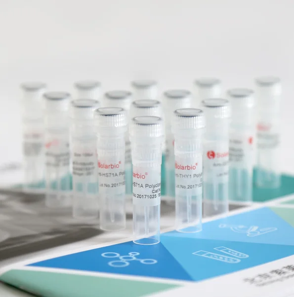 Высокое качество Anti-KDM1A моноклональное