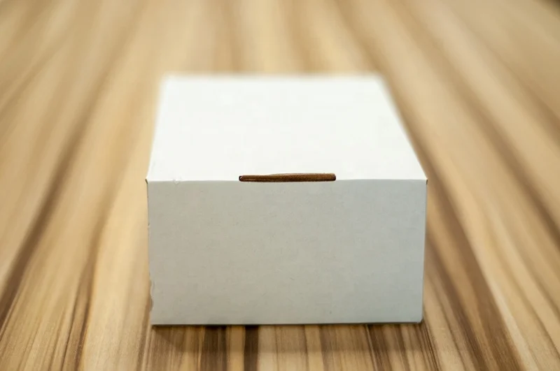 Sinotag EAS Deactivator SD-203(AM Deactivator)