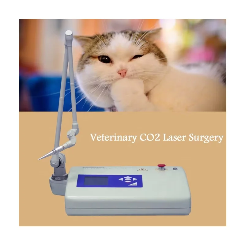 Ветеринарный CO2 хирургическая машина CO2 лазерная машина лучшего качества CO2 лазерная система BS-COL1 корм для животных хирургии