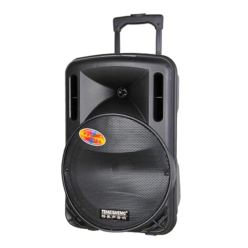 120W 12V6600mAh Battery Powered A12-1 Temeisheng 12 Inch Active Party Professional DJ Trolley Speaker with Party Light