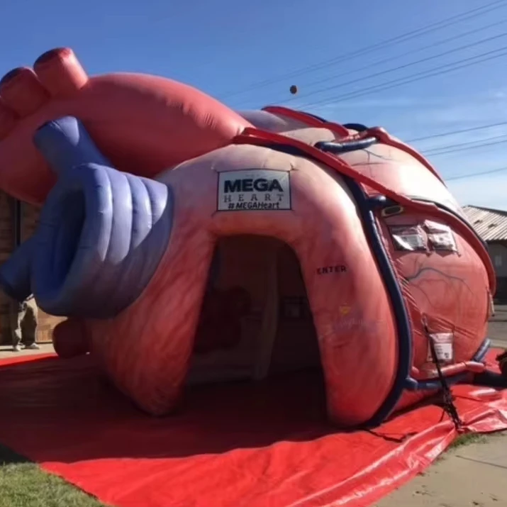 Гигантский надувной орган модель сердца надувная человеческого тела большие органы для больничных мероприятий и медицинских надувных выставок