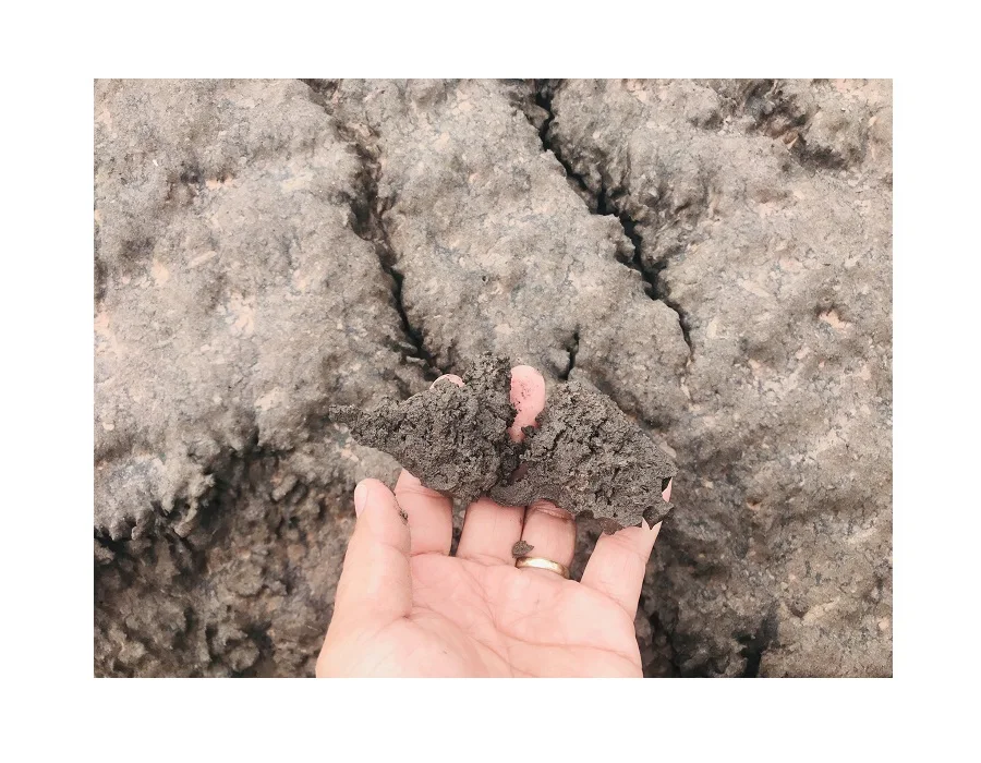 Good Price Ground Granulated Blast Furnace Slag Construction - High Quality GGBFS / GBFS Slag for Cement, Road, Concrete