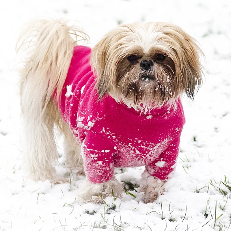 Fleece Jumpers for Dogs