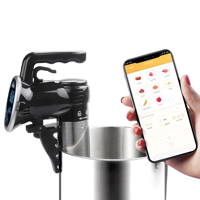  Лучшие Варочные панели 2019 sous vide wifi stick 850