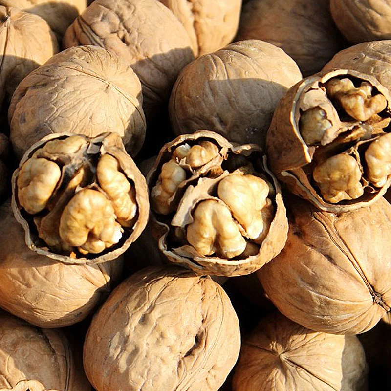 Famous Chinese dried fruit products walnuts kernel without shell Nutritious and healthy snacks shell-less walnut