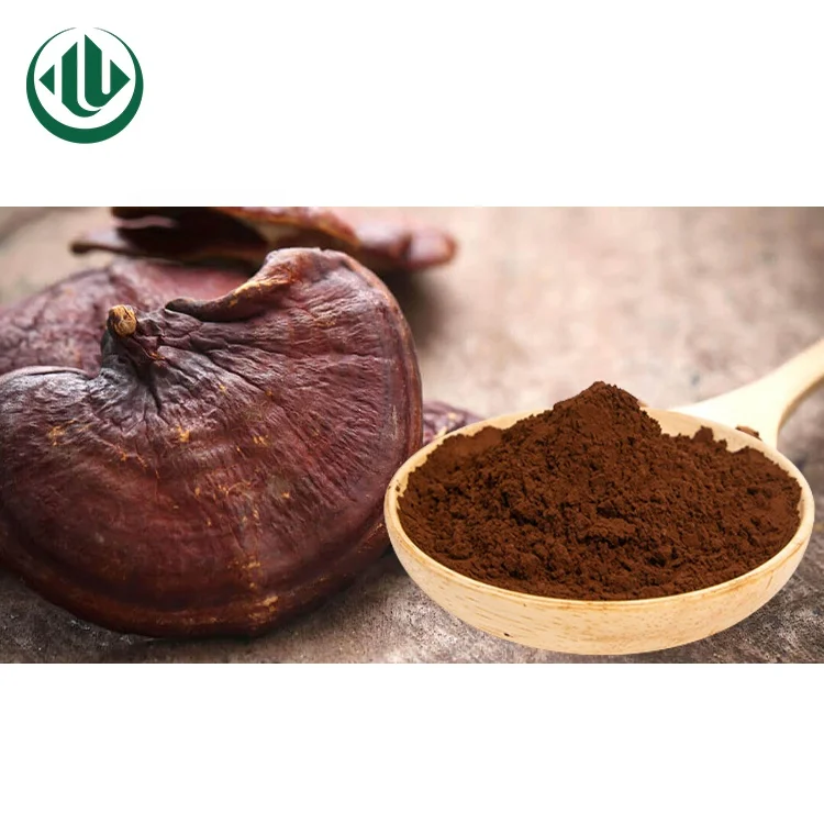 Private Label OEM Lingzhi Cracked Spores Powder Ganoderma Spore Broken Mushroom Mycelium Powder