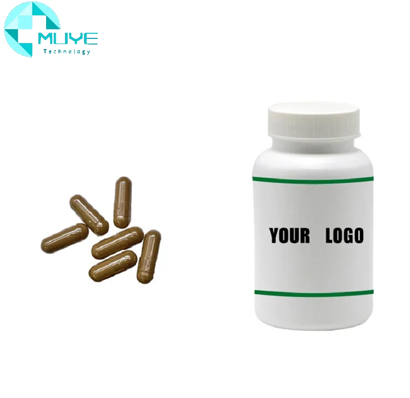 Wholesale Bulk 100% natural Pure 2% 10% Ajuga Turkestanica Extract Powder Turkesterone