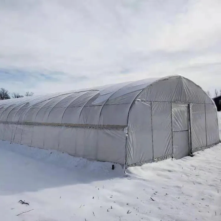 Low Cost Plastic Shed Single-span Commercial Strawberry Greenhouses Plastic Film Tunnel Greenhouse For Agricultural Tomato