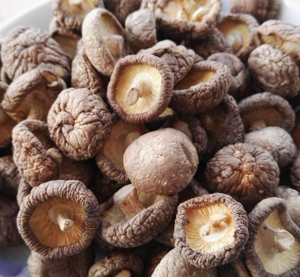 Bulk premium quality good price dried black shiitake mushrooms