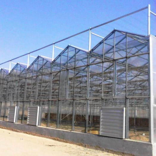 Hydroponics Greenhouses Greenhouse Supplier Polycarbonate Sheet Greenhouse for vegetables