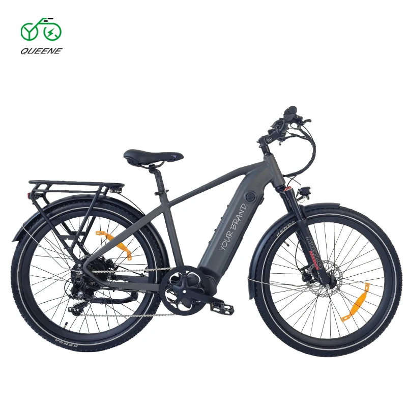 OEM Big Power 2 Wheels Disc Brake Mid Drive Motor Cheap Ebike Electric City Bike With Hydraulic Suspension