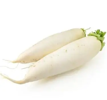 2022 new season fresh vegetable export and international certification fresh vegetable white radish